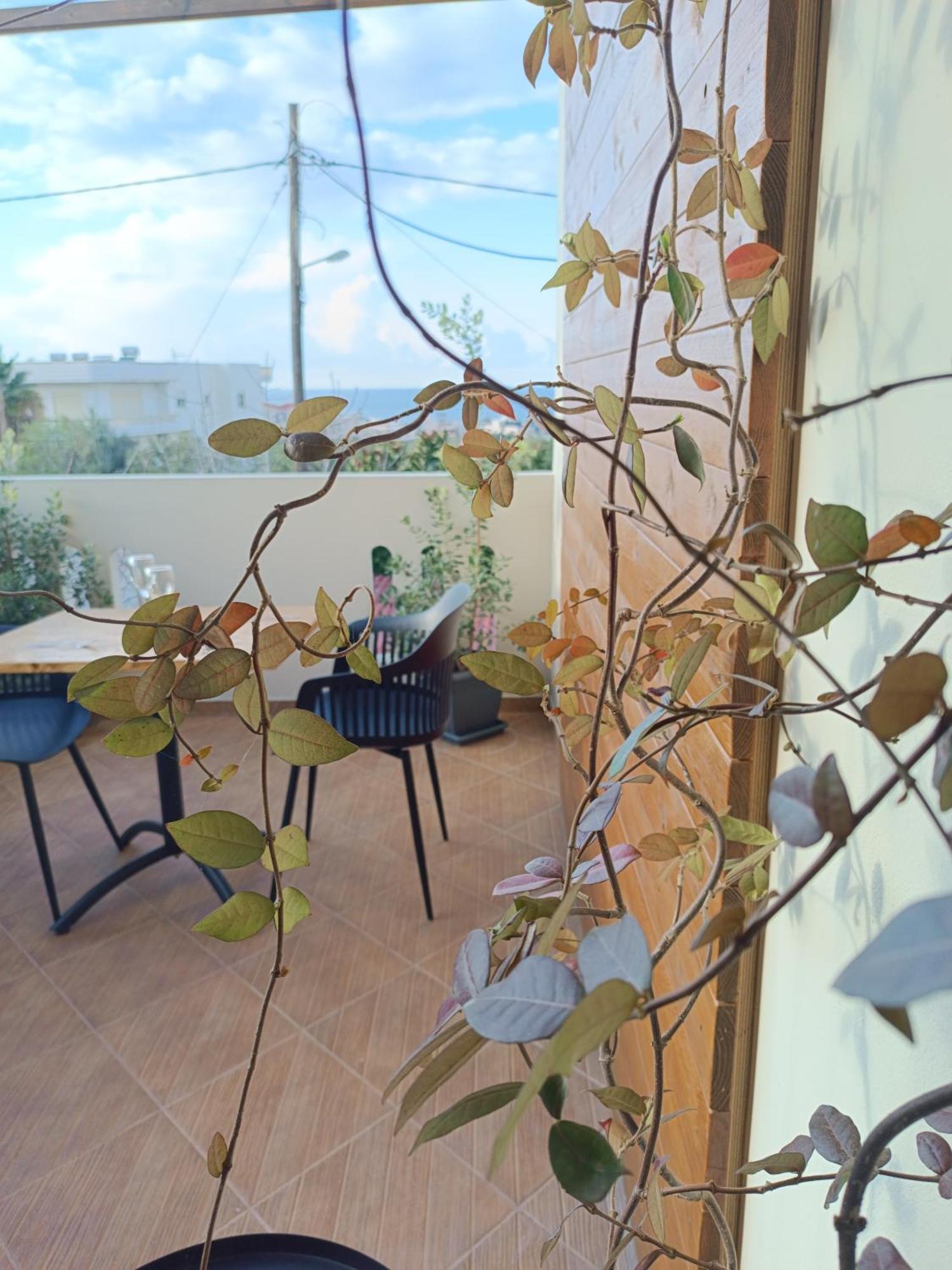 Giodriana Cozy Studio Agia Marina Exteriér fotografie